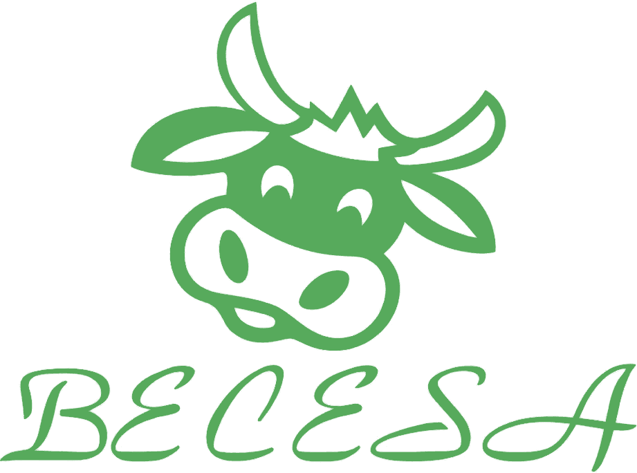BECESA